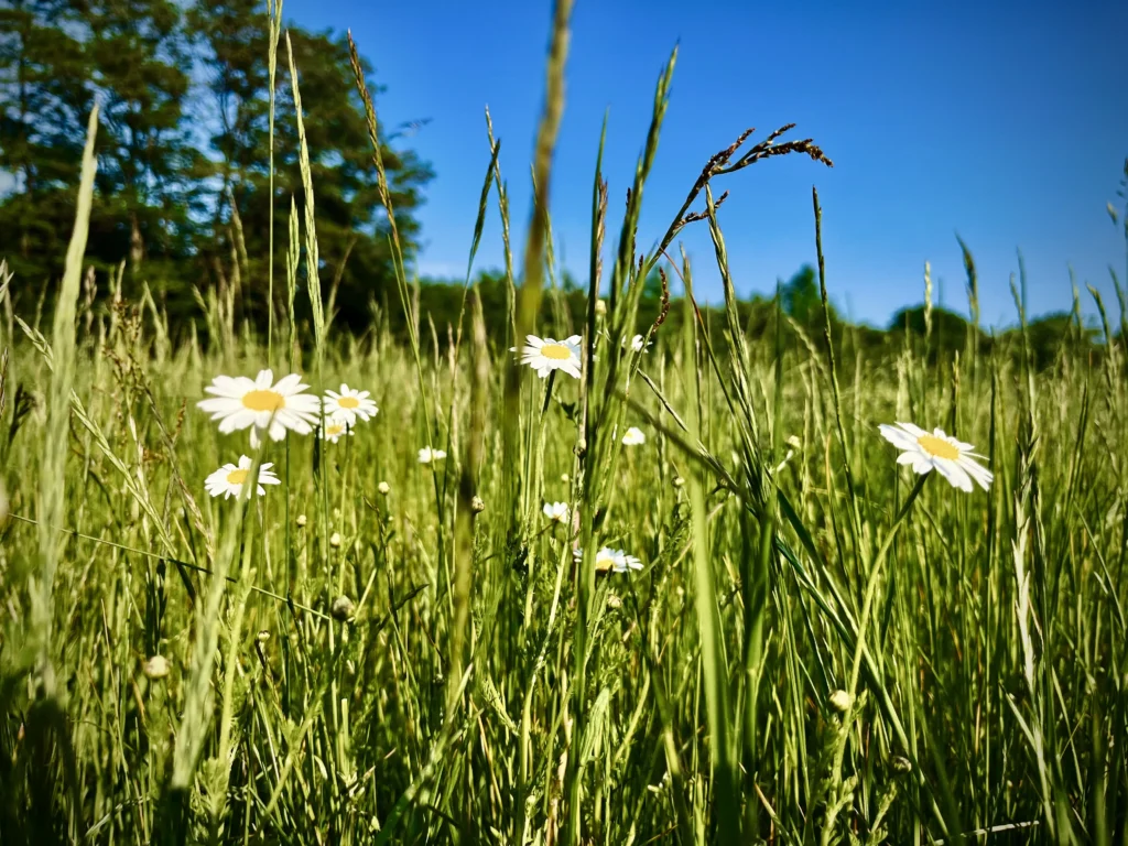 NA_ŁĄCE przestrzeń