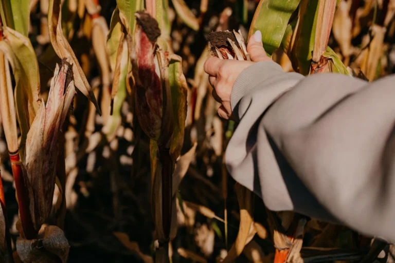 NA_ŁĄCE przestrzeń