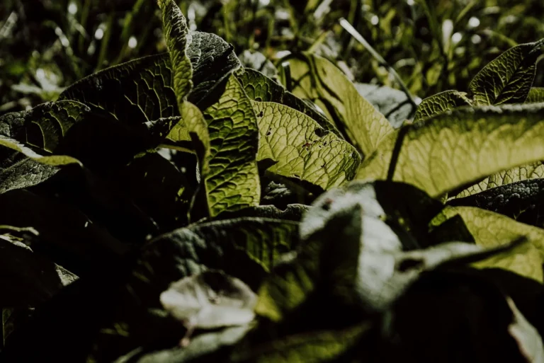 NA_ŁĄCE przestrzeń