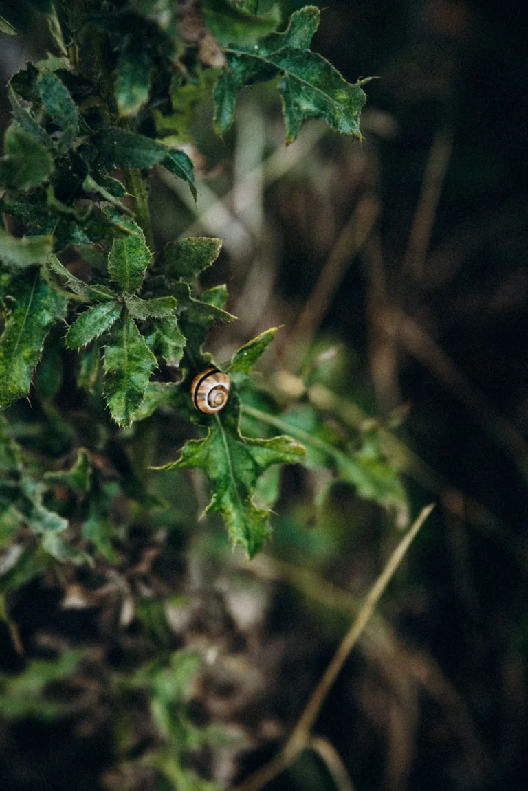 NA_ŁĄCE przestrzeń