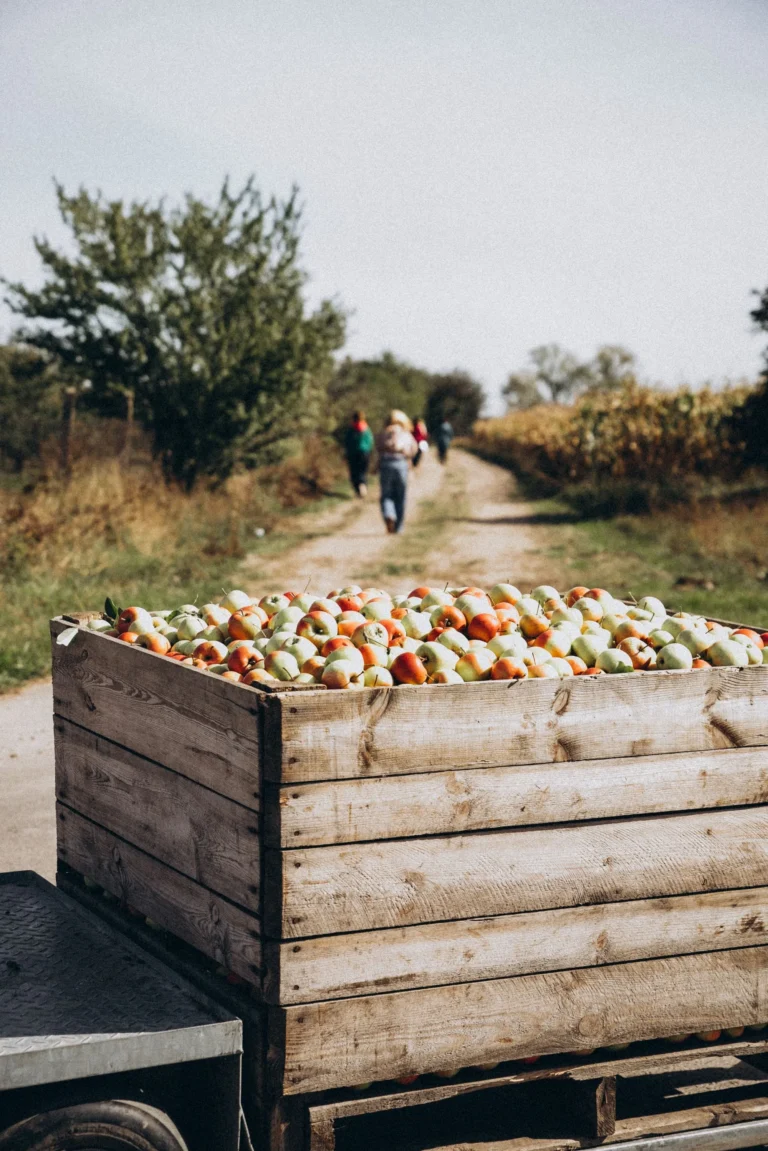 NA_ŁĄCE przestrzeń