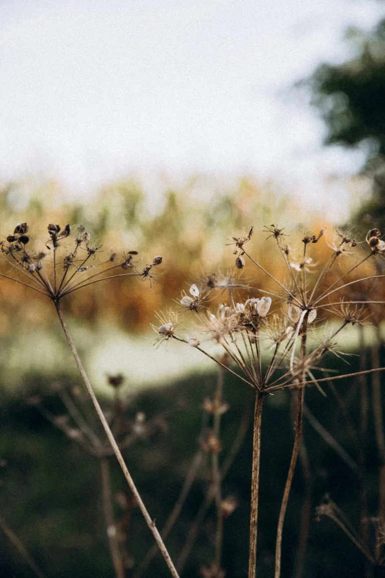 NA_ŁĄCE przestrzeń
