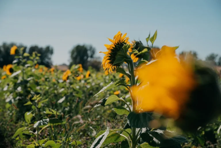 NA_ŁĄCE przestrzeń