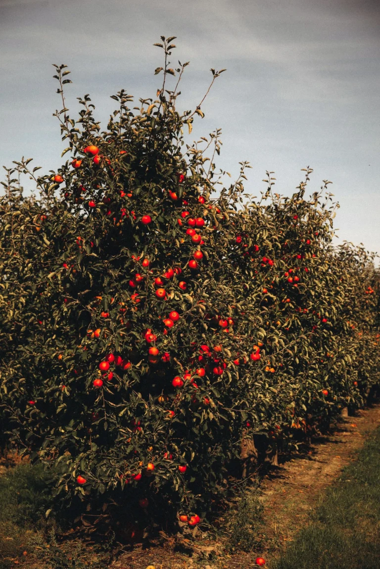 NA_ŁĄCE przestrzeń