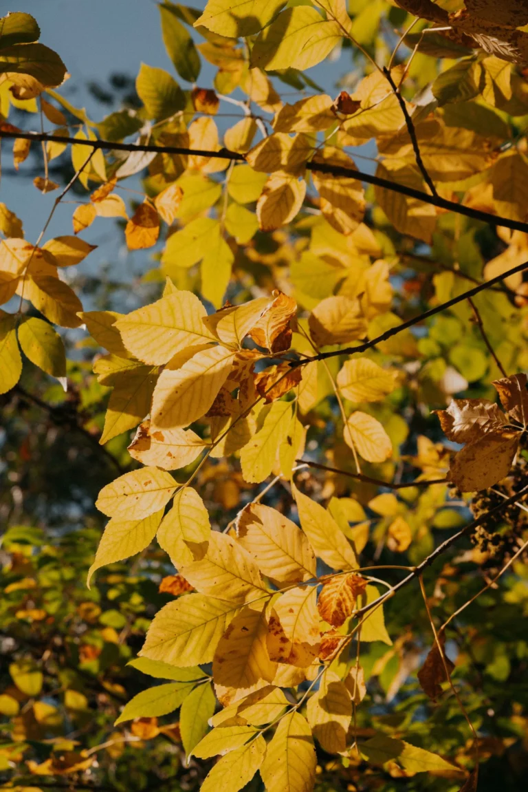 NA_ŁĄCE przestrzeń
