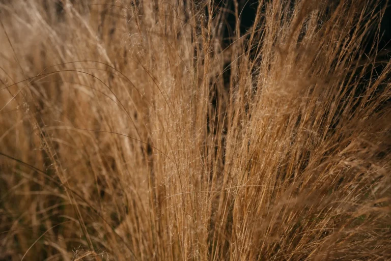 NA_ŁĄCE przestrzeń