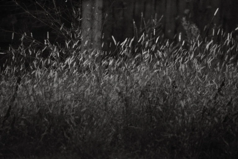 NA_ŁĄCE przestrzeń