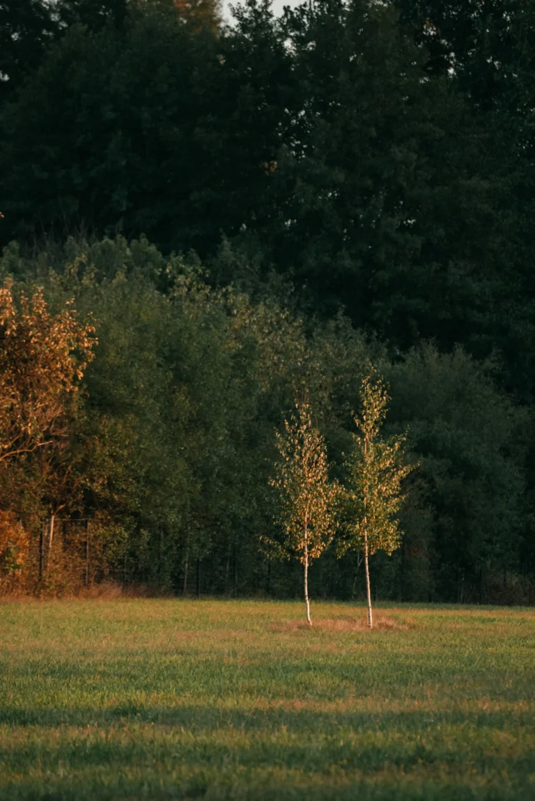 NA_ŁĄCE przestrzeń
