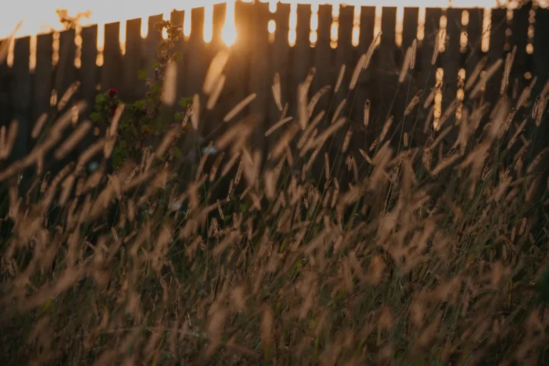 NA_ŁĄCE przestrzeń