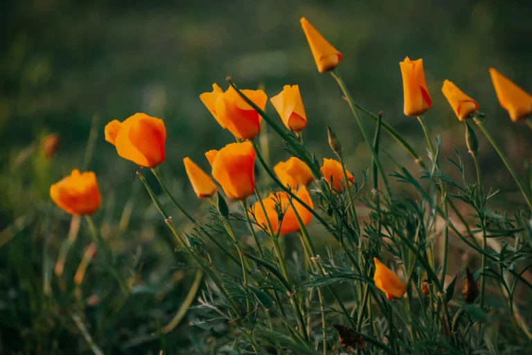 NA_ŁĄCE przestrzeń