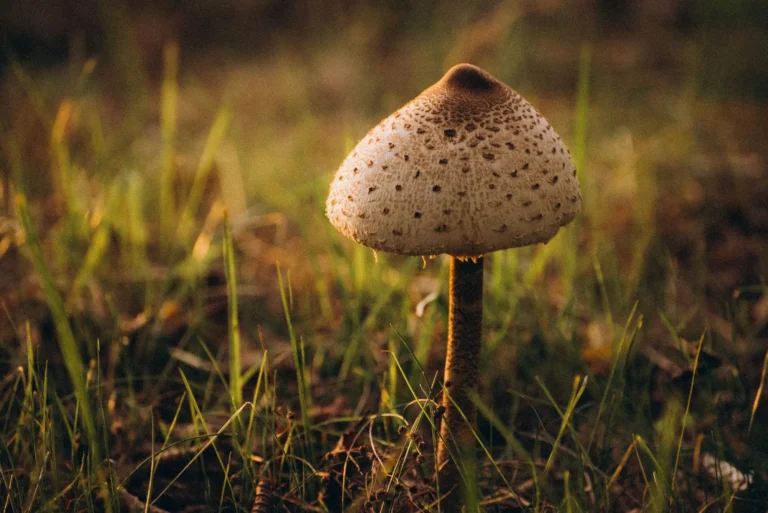 NA_ŁĄCE przestrzeń