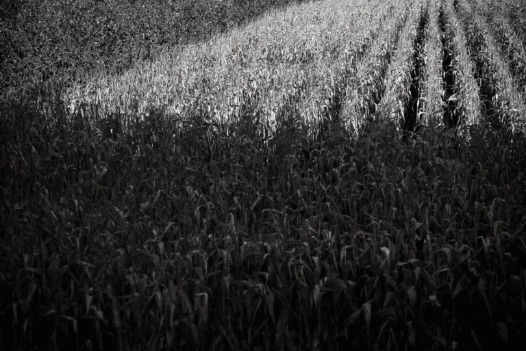 NA_ŁĄCE przestrzeń