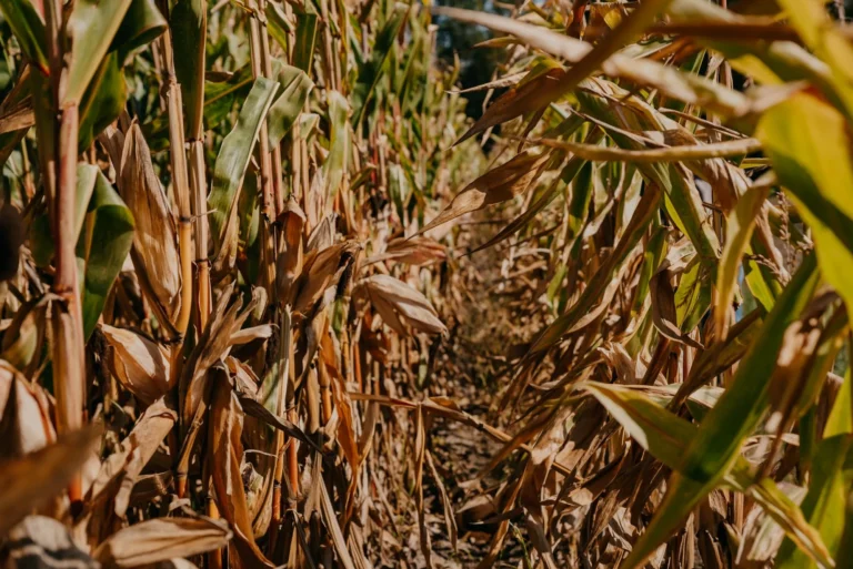 NA_ŁĄCE przestrzeń