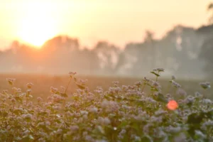 Trening interpersonalny | 6 – 10 marca 2026 r.